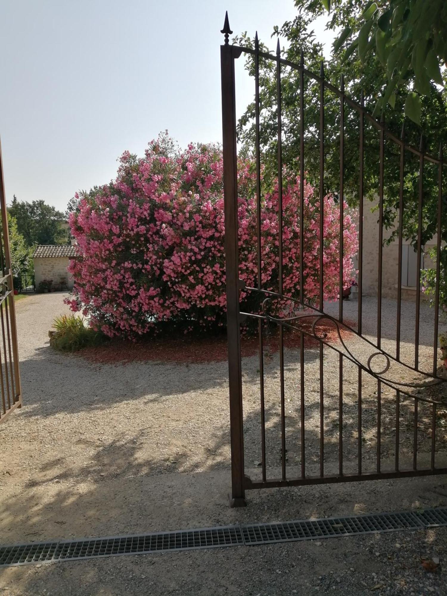 Chambres D'Hotes Le Vignoble Cucuron Exterior foto